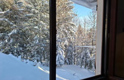 Un refuge chaleureux au cœur du Mourtis - Foto 18