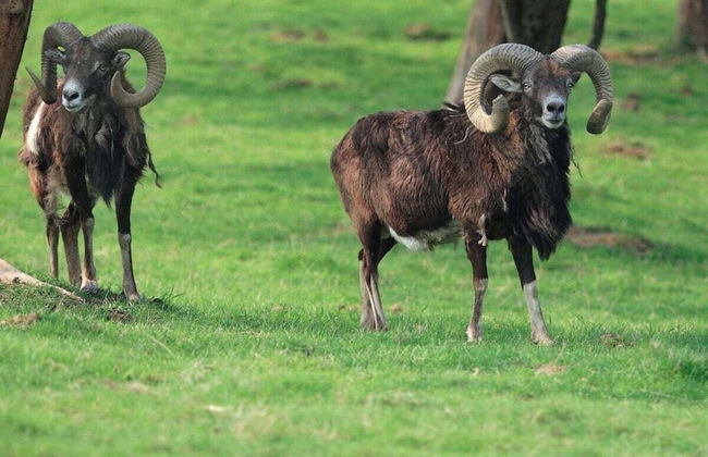 Majestic Apartment in Brakel - Foto 26