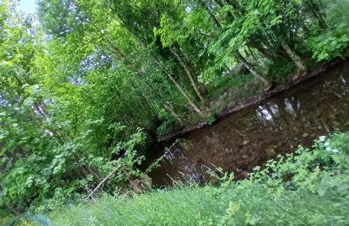 Gite de l'Ours - Foto 13