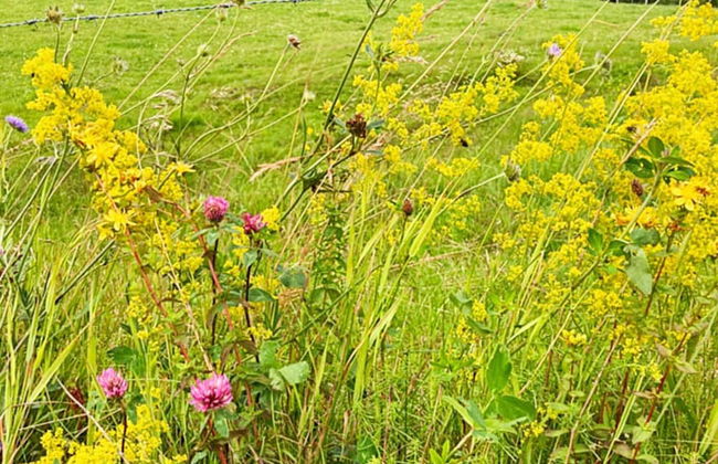 5 Person Holiday Home in Bodafors-by Traum - Foto 3