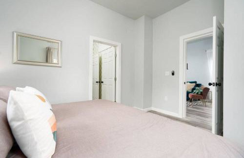 Cacti - Cactyou - Cactus - Foto 11