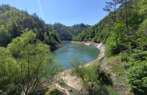 Blackforest Perla - Foto 24