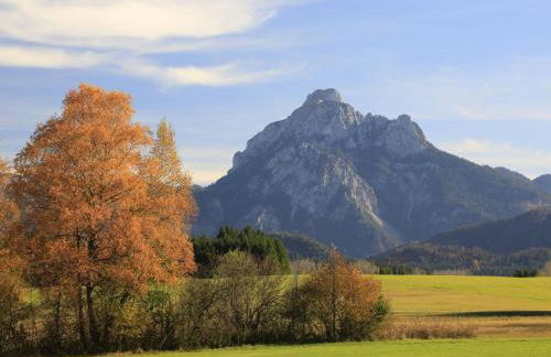 Apartment am Rosengarten by Interhome - Foto 49