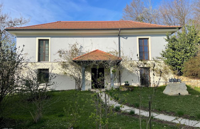 Hirschmugl Domaene am Seggauberg - Foto 50