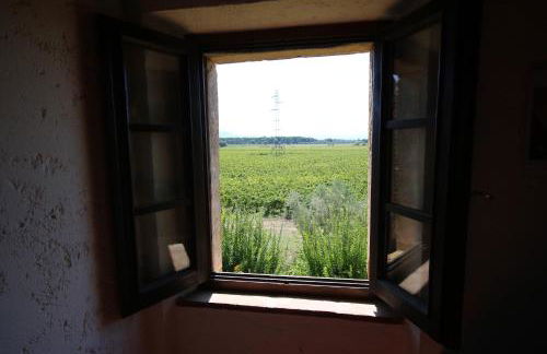 Podere Campo alle Serpi - Foto 75