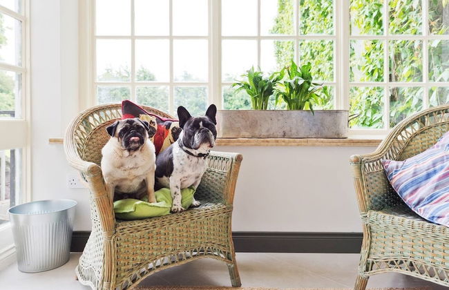 The Manor Suite at Moyglare Manor - Foto 6