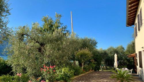 Casa Daniela - Foto 4, Garden, Garden view