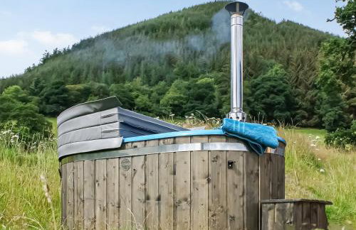 Barcud Coch - Uk44539 - Foto 18