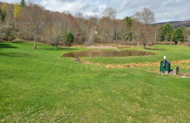 Charming Twin Ponds Estate On 27 Acres - Foto 28