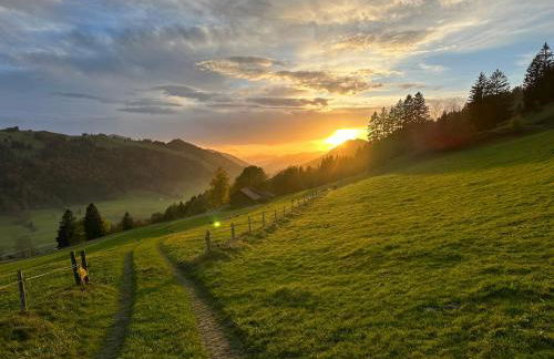 Wald Lounge - Foto 66