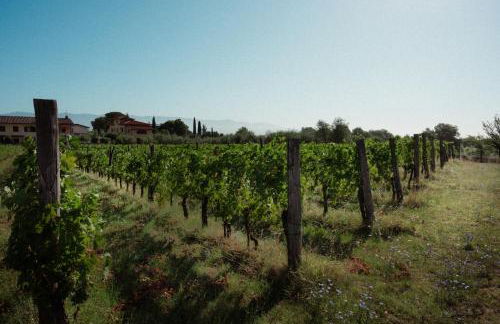 La Locanda Cuccuini - Foto 21