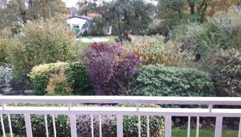 Ferienwohnung Gesine - Foto 3