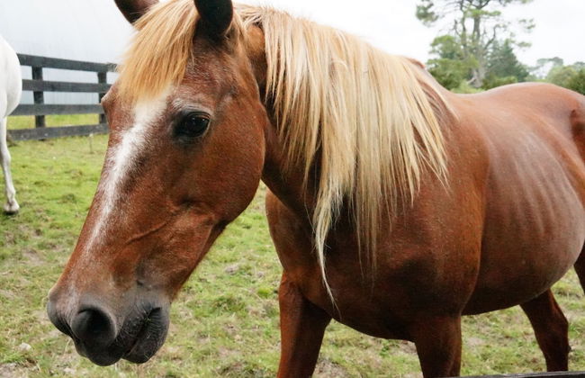 Silver Waters Lodge - Photo 49