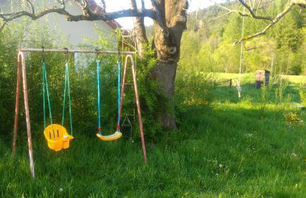 Organistowka - Foto 7