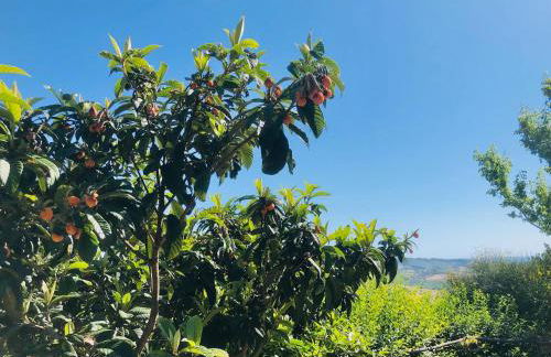 Effimera - Relaxing Retreat - Foto 38