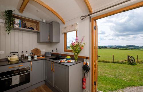 The Acorn - Luxury Shepherds Hut hot tub panoramic views - Foto 21