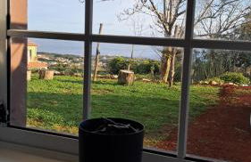 Biscoitos Top View - Photo 24