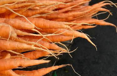 Upper Highview - Self Catering Apartment, fpventures Stroud - Foto 29
