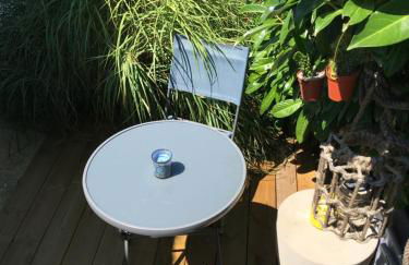 PETIT STUDIO de L'ERMITAGE - Foto 23