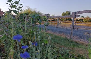 Le gîte Le Marillet - Foto 3