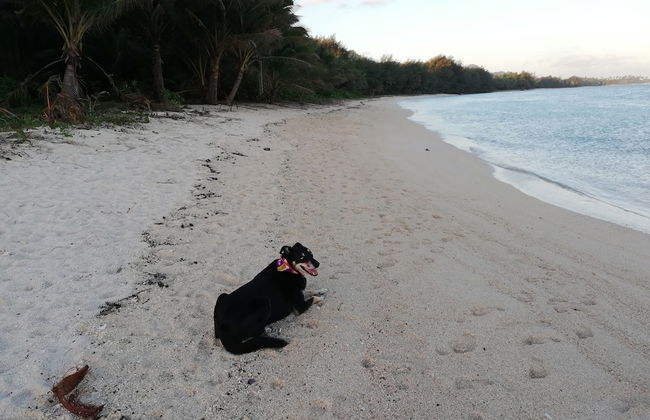 JJ's Retreat - Foto 28