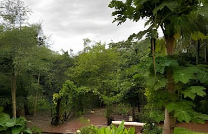 Sítio rústico e encantador no pé da Canastra - Foto 30