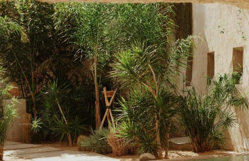 Ecohotel El Agua - Foto 40