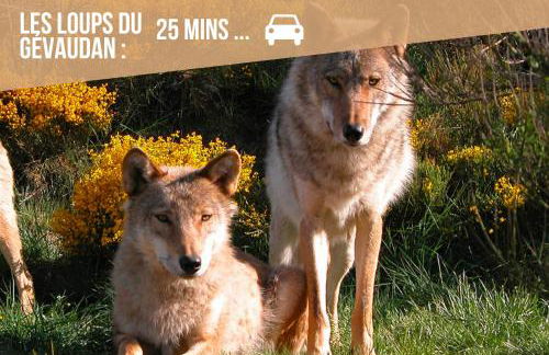 Le Déroc - Netflix Wi-Fi Fibre Terrasse - Foto 44