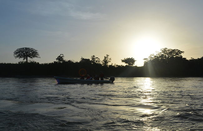 Macaws and Montes Azules Reserve from Palenque - Foto 1