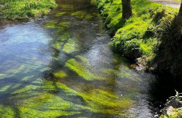 Cocon Nature et bain nordique à 37 degrés - Foto 28