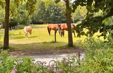 WiesenMeer - Foto 46
