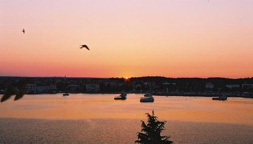 Apartments Dulabic - Foto 2