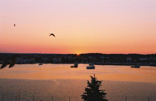 Apartments Dulabic - Foto 2