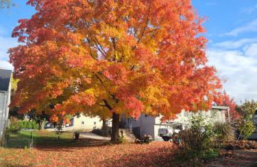 The Stable - Foto 21