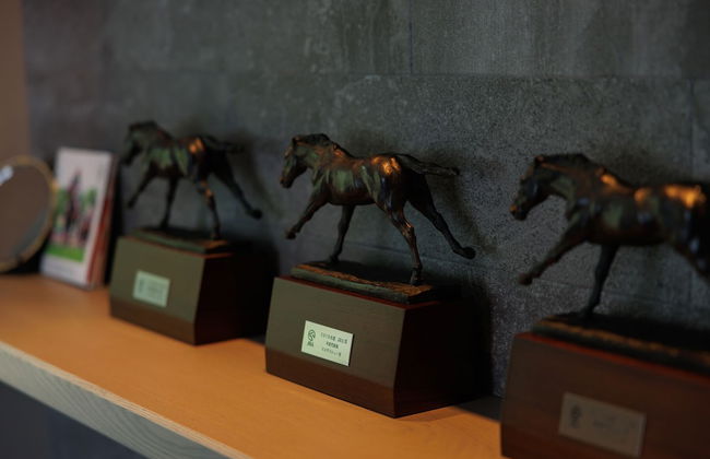 LYS GRACIEUX【Ezo Fuji hoothills】 - Photo 24