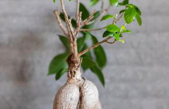 AEGLI Central Luxury Apartment - Foto 35