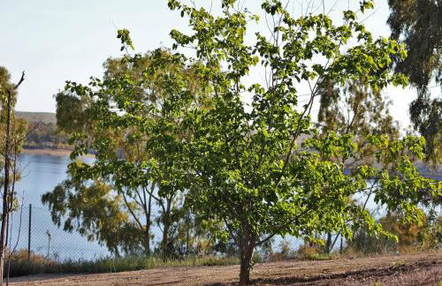 Apartamentos Embalse de Orellana - Foto 42