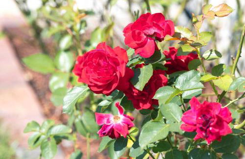 "Le 35" Maison rénovée avec jardin proche centre - Foto 31