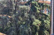 Casa Lucia 5th Floor - Photo 30