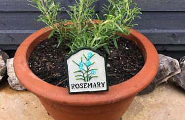 *Stunning* The Botanist Rest Ventnor IOW - Foto 44