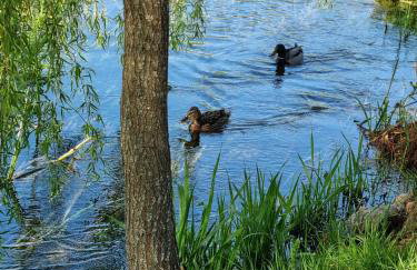 House Notturno - Photo 33