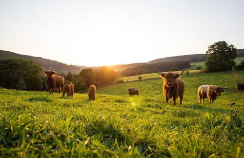 THE SUITE Winterberg Deluxe - Exklusive Ausstattung, Bestlage zwischen Skikarussell und Marktplatz, eigener Garten, Ski- und Fahrradraum, ruhige Südausrichtung, WLAN, hundefreundlich - Foto 36