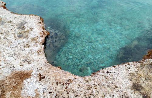 Belle Hélène - Foto 63