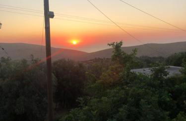 Elata Stone House - Photo 53