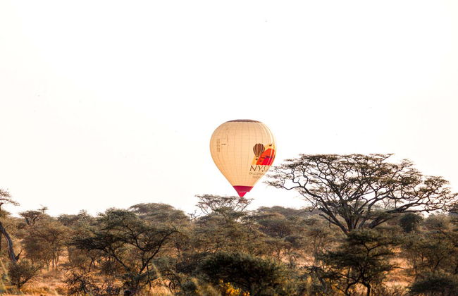 Balloon Ride Over Serengeti National Park - Foto 13