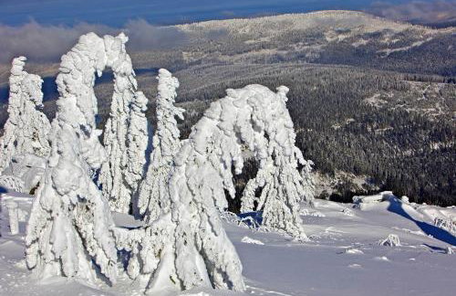 Ferienwohnung im Landhaus am Nationalpark - Foto 44