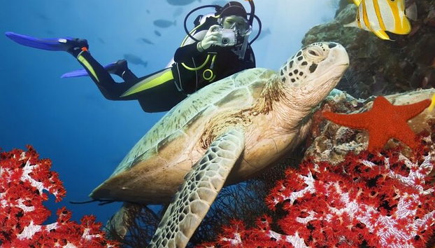 Aventura de buceo en Alanya con almuerzo y traslado al hotel - Foto 2