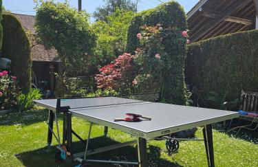 Villa familiale La Finca du champ de l'eau Avec sauna jacuzzi proche de Disney et Paris - Foto 48