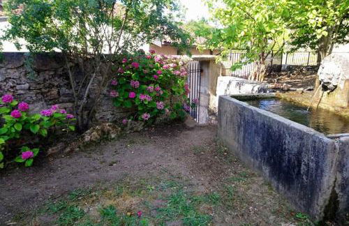 GITE LE SAINT-AMOUR - Foto 18