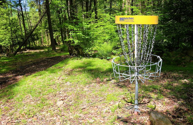 Blue Mountain Resort - Foto 17